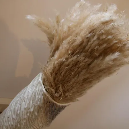 Media-apartment アパート ケルン