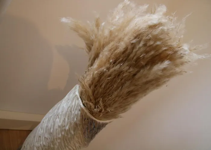 Media-apartment Διαμέρισμα Κολωνία